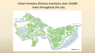 Urban Forestry Division maintains over 19,000
trees throughout the city.
As compared to:
3,070 Parking meters
6,600 Street lights
Over time, the value of a tree increases while the value
other city assets decrease
 