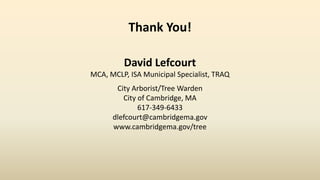 Thank You!
David Lefcourt
MCA, MCLP, ISA Municipal Specialist, TRAQ
City Arborist/Tree Warden
City of Cambridge, MA
617-349-6433
dlefcourt@cambridgema.gov
www.cambridgema.gov/tree
 