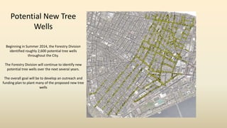 Potential New Tree
Wells
Beginning in Summer 2014, the Forestry Division
identified roughly 2,600 potential tree wells
throughout the City.
The Forestry Division will continue to identify new
potential tree wells over the next several years.
The overall goal will be to develop an outreach and
funding plan to plant many of the proposed new tree
wells
 