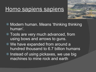 David l tools | PPT