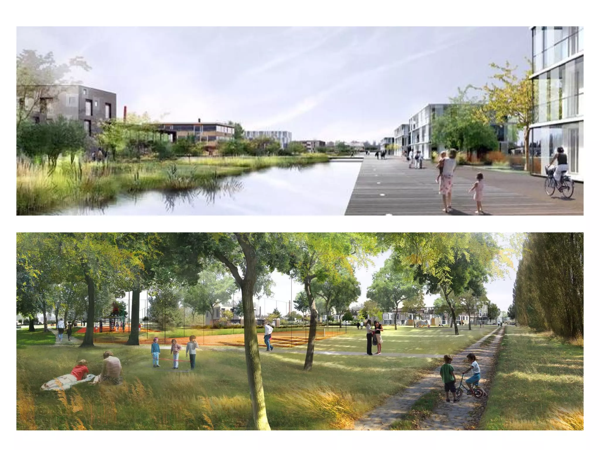 David Mangin Abf 11 06 09