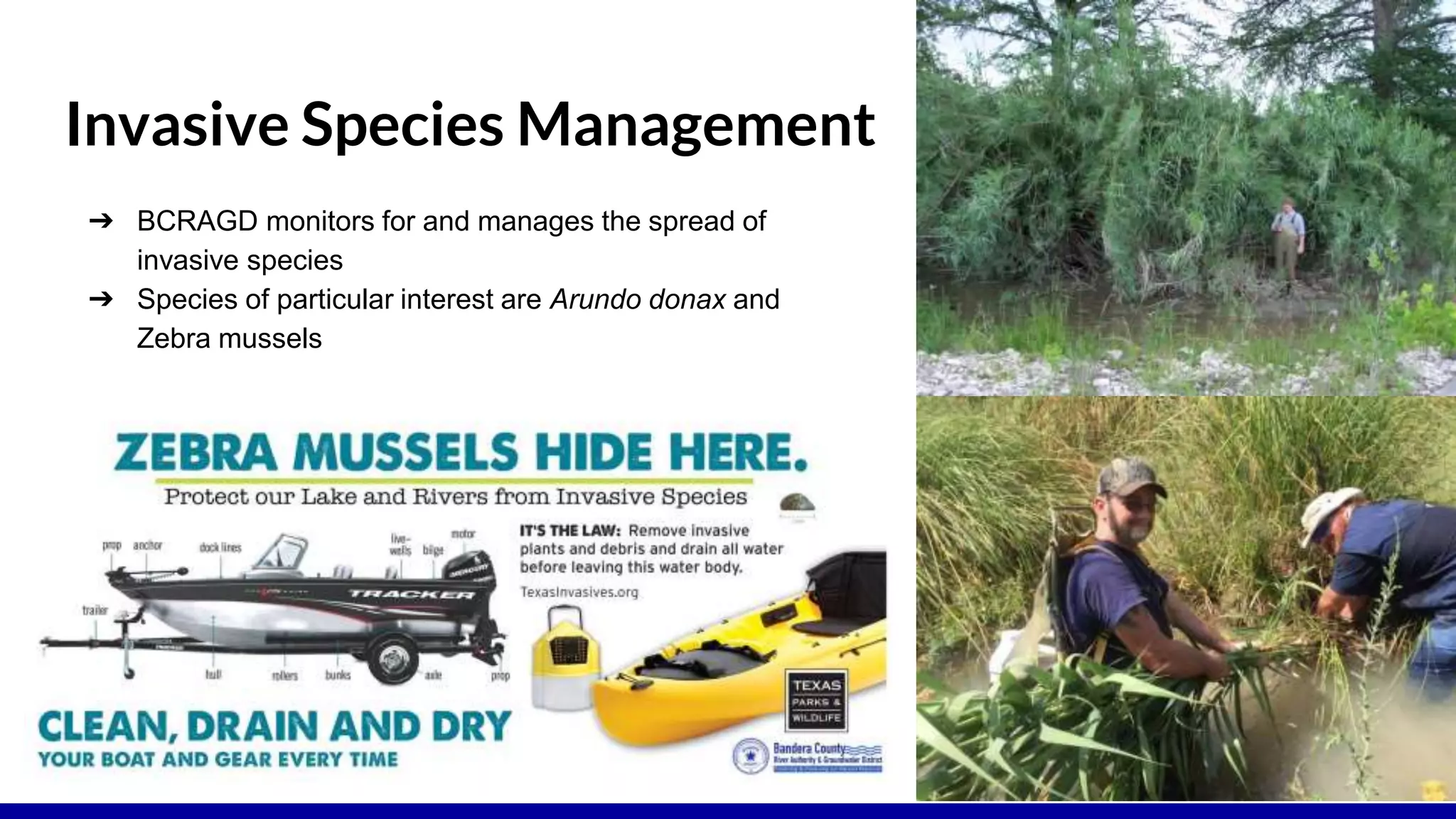 Invasive Species Management
➔ BCRAGD monitors for and manages the spread of
invasive species
➔ Species of particular interest are Arundo donax and
Zebra mussels
 