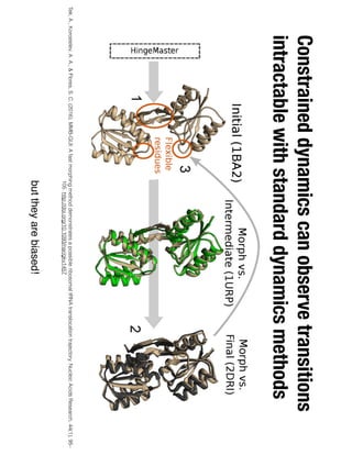 The improvement score (%) is defined in the text. In the second and third column
1KK7 for Myosin), C = final (e.g. 1KK8 for Myosin), following Weiss and Levitt.
Rightmost two columns refer to Weiss and Levitt results.
aSpecific cases discussed in the text.
the
ing
thr
0.9
wh
(am
tra
oc
tid
mo
cee
of
P a
ste
Tek, A., Korostelev, A. A., & Flores, S. C. (2016). MMB-GUI: A fast morphing method demonstrates a possible ribosomal tRNA translocation trajectory. Nucleic Acids Research, 44(1), 95–
105. http://doi.org/10.1093/nar/gkv1457
Constrained dynamics can observe transitions
intractable with standard dynamics methods
but they are biased!
 