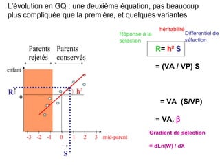L’évolution en GQ : une deuxième équation, pas beaucoup plus compliquée que la première, et quelques variantes R =  h²  S = (VA / VP) S = VA  (S/VP) = VA.    -3  -2  -1  0  1  2  3  mid-parent enfant 0 Parents rejetés Parents conservés S R Réponse à la sélection héritabilité Différentiel de sélection Gradient de sélection = dLn(W) / dX h 2 