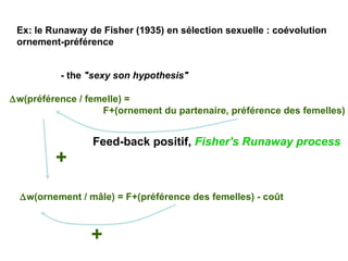 Ex: le Runaway de Fisher (1935) en sélection sexuelle : coévolution ornement-préférence  w(préférence / femelle) =  F+(ornement du partenaire, préférence des femelles) - the  "sexy son hypothesis" Feed-back positif,  Fisher's Runaway process  w(ornement / mâle) = F+(préférence des femelles) - coût + + 
