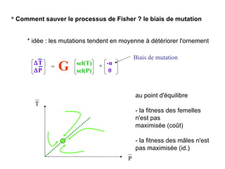 -u 0 *  Comment sauver le processus de Fisher ? le biais de mutation * idée : les mutations tendent en moyenne à détériorer l'ornement  T  P G sel(T) sel(P) = + Biais de mutation P T au point d'équilibre - la fitness des femelles n'est pas maximisée (coût) - la fitness des mâles n'est pas maximisée (id.) 
