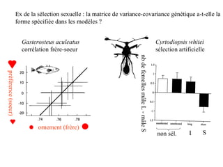 Ex de la sélection sexuelle : la matrice de variance-covariance génétique a-t-elle la forme spécifiée dans les modèles ? Gasterosteus aculeatus Cyrtodiopsis whitei corrélation frère-soeur sélection artificielle ornement (frère) préférence (soeur) nb de femelles mâle L - mâle S L S non sél. 