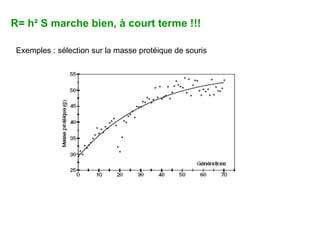R= h² S marche bien, à court terme !!! Exemples : sélection sur la masse protéique de souris 