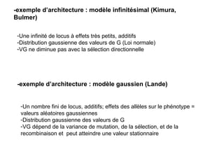 -exemple d’architecture : modèle infinitésimal (Kimura, Bulmer) Une infinité de locus à effets très petits, additifs Distribution gaussienne des valeurs de G (Loi normale) VG ne diminue pas avec la sélection directionnelle -exemple d’architecture : modèle gaussien (Lande) Un nombre fini de locus, additifs; effets des allèles sur le phénotype = valeurs aléatoires gaussiennes Distribution gaussienne des valeurs de G VG dépend de la variance de mutation, de la sélection, et de la recombinaison et  peut atteindre une valeur stationnaire 