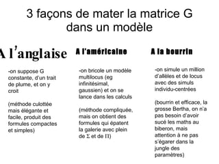 3 façons de mater la matrice G dans un modèle A l’anglaise A l’américaine A la bourrin -on suppose G constante, d’un trait de plume, et on y croit (méthode culottée mais élégante et facile, produit des formules compactes et simples) -on bricole un modèle multilocus (eg infinitésimal, gaussien) et on se lance dans les calculs (méthode compliquée, mais on obtient des formules qui épatent la galerie avec plein de    et de   ) -on simule un million d’allèles et de locus avec des simuls individu-centrées (bourrin et efficace, la grosse Bertha, on n’a pas besoin d’avoir sucé les maths au biberon, mais attention à ne pas s’égarer dans la jungle des paramètres) 