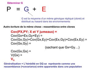 P  =  G   +  E Cov(PX,PY; X et Y jumeaux) =   Cov(Gx+Ex,Gy+Ey) = Cov(Gx,Gy)+Cov(Gx,Ey)+Cov(Ex,Gy)+Cov(Ex,Ey) = Cov(Gx,Gy) =   (sachant que Gx=Gy…) Cov(Gx,Gx) =  V(Gx) = V G G est la moyenne d’un même génotype répliqué (cloné) et distribué au hasard dans les environnements Déterminer G Autre écriture de la même chose : ressemblance entre clones Généralisation = L’hérédité en GQ se  représente comme une ressemblance (=covariance) entre apparentés dans une population 