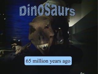 65 million years ago
 