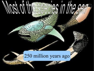 250 million years ago
 