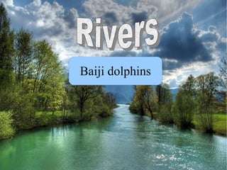 Baiji dolphins
 