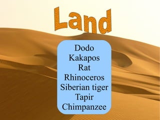 Dodo
  Kakapos
     Rat
 Rhinoceros
Siberian tiger
    Tapir
Chimpanzee
 