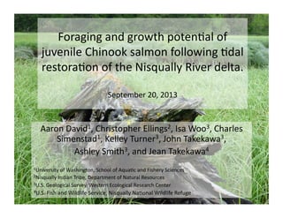 Foraging	
  and	
  growth	
  poten/al	
  of	
  
juvenile	
  Chinook	
  salmon	
  following	
  /dal	
  
restora/on	
  of	
  the	
  Nisqually	
  River	
  delta.	
  
September	
  20,	
  2013	
  

Aaron	
  David1,	
  Christopher	
  Ellings2,	
  Isa	
  Woo3,	
  Charles	
  
Simenstad1,	
  Kelley	
  Turner3,	
  John	
  Takekawa3,	
  	
  
Ashley	
  Smith3,	
  and	
  Jean	
  Takekawa4	
  
1University	
  of	
  Washington,	
  School	
  of	
  Aqua/c	
  and	
  Fishery	
  Sciences	
  
2Nisqually	
  Indian	
  Tribe,	
  Department	
  of	
  Natural	
  Resources	
  
3U.S.	
  Geological	
  Survey,	
  Western	
  Ecological	
  Research	
  Center	
  

4U.S.	
  Fish	
  and	
  Wildlife	
  Service,	
  Nisqually	
  Na/onal	
  Wildlife	
  Refuge	
  

 