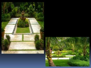 David O Design Presentation | PPTX