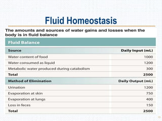 Fluid Homeostasis
13
 