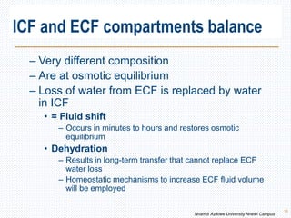 – Very different composition
– Are at osmotic equilibrium
– Loss of water from ECF is replaced by water
in ICF
• = Fluid shift
– Occurs in minutes to hours and restores osmotic
equilibrium
• Dehydration
– Results in long-term transfer that cannot replace ECF
water loss
– Homeostatic mechanisms to increase ECF fluid volume
will be employed
ICF and ECF compartments balance
16
Nnamdi Azikiwe University Nnewi Campus
 