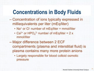 Concentrations in Body Fluids
20
– Concentration of ions typically expressed in
milliequivalents per liter (mEq/liter)
• Na+ or Cl- number of mEq/liter = mmol/liter
• Ca2+ or HPO4
2- number of mEq/liter = 2 x
mmol/liter
– Major difference between 2 ECF
compartments (plasma and interstitial fluid) is
plasma contains many more protein anions
• Largely responsible for blood colloid osmotic
pressure
Nnamdi Azikiwe University Nnewi Campus
 