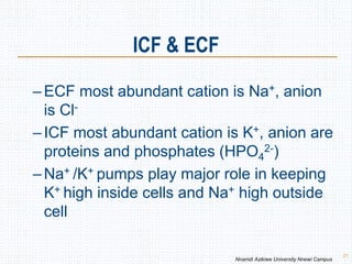 ICF & ECF
21
–ECF most abundant cation is Na+, anion
is Cl-
–ICF most abundant cation is K+, anion are
proteins and phosphates (HPO4
2-)
–Na+ /K+ pumps play major role in keeping
K+ high inside cells and Na+ high outside
cell
Nnamdi Azikiwe University Nnewi Campus
 