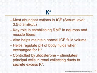 K+
23
– Most abundant cations in ICF (Serum level:
3.5-5.3mEq/L)
– Key role in establishing RMP in neurons and
muscle fibers
– Also helps maintain normal ICF fluid volume
– Helps regulate pH of body fluids when
exchanged for H+
– Controlled by aldosterone – stimulates
principal cells in renal collecting ducts to
secrete excess K+.
Nnamdi Azikiwe University Nnewi Campus
 