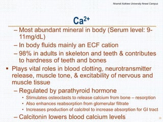 Ca2+
26
– Most abundant mineral in body (Serum level: 9-
11mg/dL)
– In body fluids mainly an ECF cation
– 98% in adults in skeleton and teeth & contributes
to hardness of teeth and bones
 Plays vital roles in blood clotting, neurotransmitter
release, muscle tone, & excitability of nervous and
muscle tissue
– Regulated by parathyroid hormone
• Stimulates osteoclasts to release calcium from bone – resorption
• Also enhances reabsorption from glomerular filtrate
• Increases production of calcitrol to increase absorption for GI tract
– Calcitonin lowers blood calcium levels
Nnamdi Azikiwe University Nnewi Campus
 