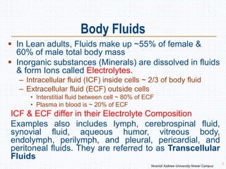 Body Fluids
 In Lean adults, Fluids make up ~55% of female &
60% of male total body mass
 Inorganic substances (Minerals) are dissolved in fluids
& form Ions called Electrolytes.
– Intracellular fluid (ICF) inside cells ~ 2/3 of body fluid
– Extracellular fluid (ECF) outside cells
• Interstitial fluid between cell ~ 80% of ECF
• Plasma in blood is ~ 20% of ECF
ICF & ECF differ in their Electrolyte Composition
Examples also includes lymph, cerebrospinal fluid,
synovial fluid, aqueous humor, vitreous body,
endolymph, perilymph, and pleural, pericardial, and
peritoneal fluids. They are referred to as Transcellular
Fluids
3
Nnamdi Azikiwe University Nnewi Campus
 