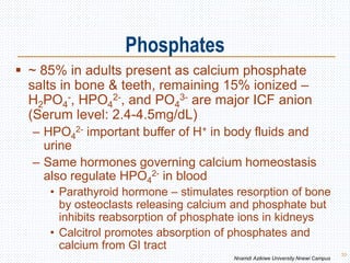 Phosphates
33
 ~ 85% in adults present as calcium phosphate
salts in bone & teeth, remaining 15% ionized –
H2PO4
-, HPO4
2-, and PO4
3- are major ICF anion
(Serum level: 2.4-4.5mg/dL)
– HPO4
2- important buffer of H+ in body fluids and
urine
– Same hormones governing calcium homeostasis
also regulate HPO4
2- in blood
• Parathyroid hormone – stimulates resorption of bone
by osteoclasts releasing calcium and phosphate but
inhibits reabsorption of phosphate ions in kidneys
• Calcitrol promotes absorption of phosphates and
calcium from GI tract
Nnamdi Azikiwe University Nnewi Campus
 