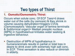 Two types of Thirst
38
1. Osmotic/Osmometric Thirst:
Occurs when solute conc. Of ECF ↑ses>it draws
water out of the cells (by osmosis) & they shrink in
volume causing dehydration>triggers CVOs
(Osmoreceptors: Vascular organ of lamina terminalis
& Subfornical organ)> Median preoptic nucleus
(MPN) in hypothalamus>initiates water seeking &
ingestive behaviour.
 Destruction of MPN of hypothalamus in
humans/animals results in partial or total loss in
desire to drink even with extremely high salt conc.
In ECF. Thirst sensation is also reduce or diminish
in elderly.
 