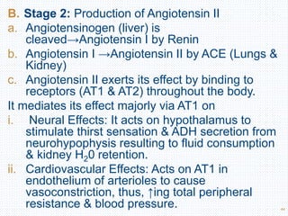 44
B. Stage 2: Production of Angiotensin II
a. Angiotensinogen (liver) is
cleaved→Angiotensin I by Renin
b. Angiotensin I →Angiotensin II by ACE (Lungs &
Kidney)
c. Angiotensin II exerts its effect by binding to
receptors (AT1 & AT2) throughout the body.
It mediates its effect majorly via AT1 on
i. Neural Effects: It acts on hypothalamus to
stimulate thirst sensation & ADH secretion from
neurohypophysis resulting to fluid consumption
& kidney H20 retention.
ii. Cardiovascular Effects: Acts on AT1 in
endothelium of arterioles to cause
vasoconstriction, thus, ↑ing total peripheral
resistance & blood pressure.
 
