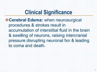 Clinical Significance
Cerebral Edema: when neurosurgical
procedures & strokes result in
accumulation of interstitial fluid in the brain
& swelling of neurons, raising intercranial
pressure disrupting neuronal fxn & leading
to coma and death.
48
 