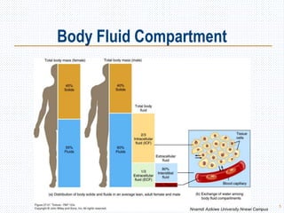 5
Body Fluid Compartment
Nnamdi Azikiwe University Nnewi Campus
 