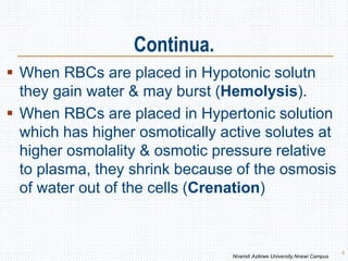 Continua.
 When RBCs are placed in Hypotonic solutn
they gain water & may burst (Hemolysis).
 When RBCs are placed in Hypertonic solution
which has higher osmotically active solutes at
higher osmolality & osmotic pressure relative
to plasma, they shrink because of the osmosis
of water out of the cells (Crenation)
8
Nnamdi Azikiwe University Nnewi Campus
 