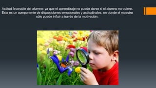 Actitud favorable del alumno: ya que el aprendizaje no puede darse si el alumno no quiere. 
Este es un componente de disposiciones emocionales y actitudinales, en donde el maestro 
sólo puede influir a través de la motivación. 
 