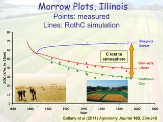 Morrow Plots, Illinois
Points: measured
Lines: RothC simulation
0
10
20
30
40
50
60
70
80
1860 1880 1900 1920 1940 1960 1980 2000 2020
Year
SOC(t/hato15cm)
Bluegrass
Border
Continuous
Corn
Corn-oats
-clover
C lost to
atmosphere
Gollany et al (2011) Agronomy Journal 103, 234-246
 