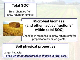 Total SOC
Small changes from
straw return or removal
Microbial biomass
(and other “active fractions”
within total SOC)
Changes in response to straw return/removal
proportionately much greater
Soil physical properties
Larger impacts
- even when no measureable change in total SOC
 