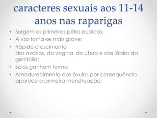 caracteres sexuais aos 11-14
     anos nas raparigas
• Surgem os primeiros pêlos púbicos;
• A voz torna-se mais grave;
• Rápido crescimento
  dos ovários, da vagina, do útero e dos lábios da
  genitália;
• Seios ganham forma
• Amadurecimento dos óvulos por consequência
  aparece a primeira menstruação;
 