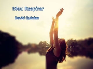 David Quinlan - Meu Respirar