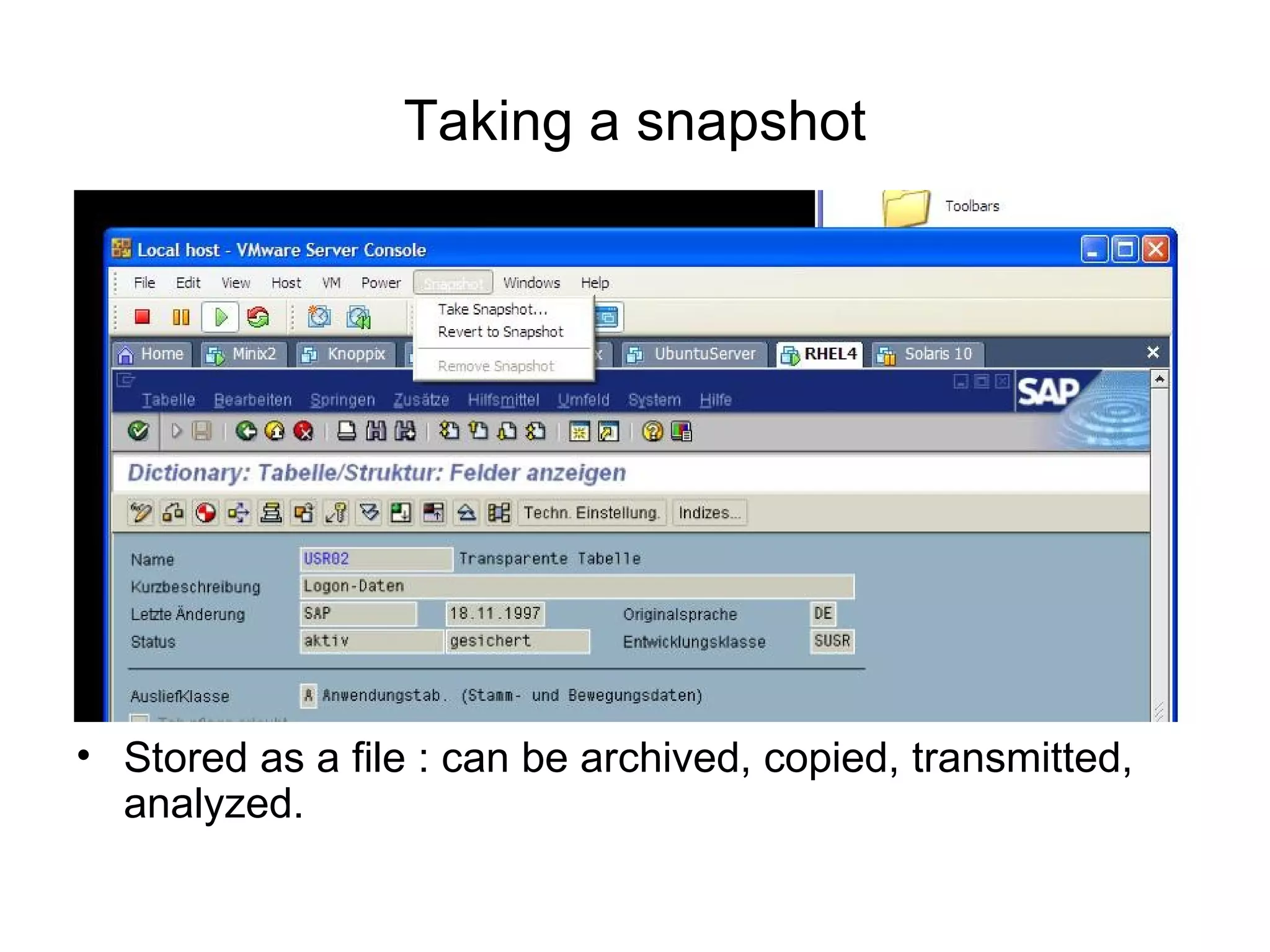 Taking a snapshot Stored as a file : can be archived, copied, transmitted, analyzed. 