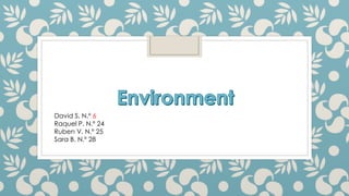 David S. N.º 6
Raquel P. N.º 24
Ruben V. N.º 25
Sara B. N.º 28
 