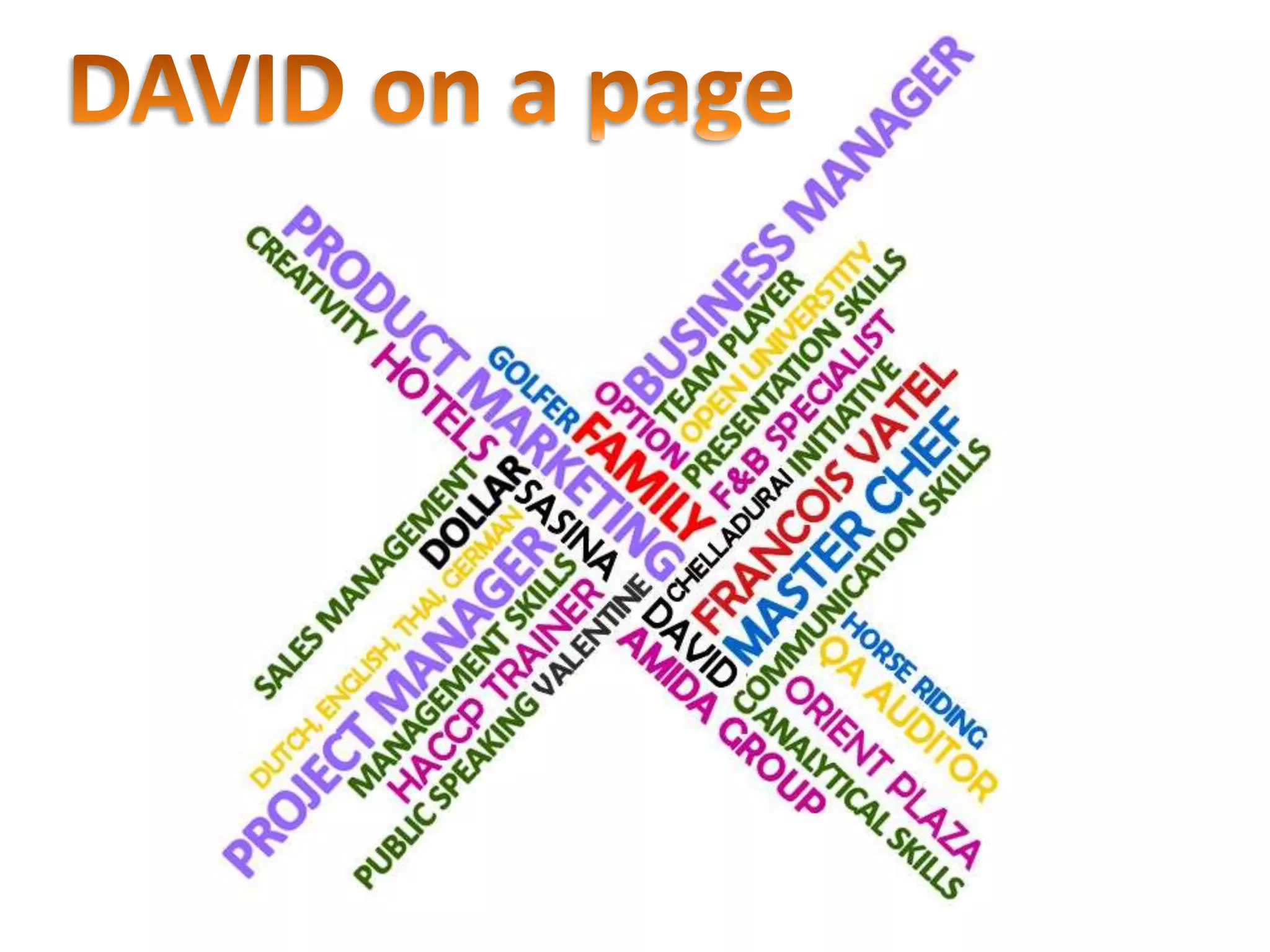 David resume ppt style 2012