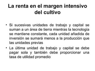 La renta en el margen intensivo del cultivo Si sucesivas unidades de trabajo y capital se suman a un área de tierra mientras la tecnología se mantiene constante, cada unidad añadida de inversión se sumará menos a la producción que las unidades previas La última unidad de trabajo y capital se debe pagar sola y también debe proporcionar una tasa de utilidad promedio 