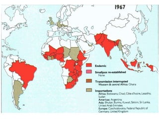 The power of vaccines