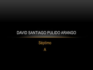 DAVID SANTIAGO PULIDO ARANGO

          Séptimo
            A
 