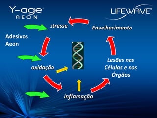 AdesivosAeon stresse   oxidação inflamação Lesões nas Células e nos Órgãos Envelhecimento 