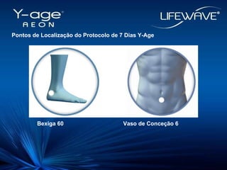 Pontos de Localização do Protocolo de 7 Dias Y-Age   Bexiga 60     Vaso de Conceção 6 