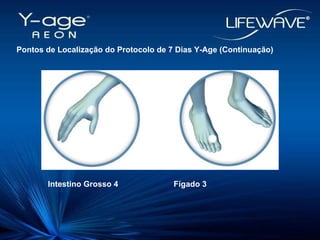 Pontos de Localização do Protocolo de 7 Dias Y-Age (Continuação)‏ Intestino Grosso 4 Fígado 3 