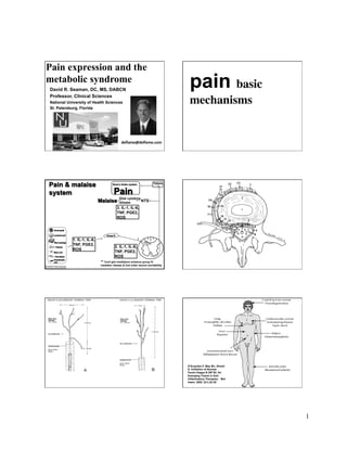 Pain expression and the
metabolic syndrome
    David R. Seaman, DC, MS, DABCN
                                                                                                pain basic
    Professor, Clinical Sciences
    National University of Health Sciences
    St. Petersburg, Florida
                                                                                                mechanisms 


                                                           deﬂame@deﬂame.com 




                                                         Glial cytokine
                                                         release
       NTS
                                                       3. IL-1, IL-6,
                                                       TNF, PGE2,
                                                       ROS




                          1. IL-1, IL-6,
                          TNF, PGE2,                                            **
                                                      2. IL-1, IL-6,
                          ROS
                                                      TNF, PGE2,
                                                      ROS
                                           ** Cord glia meditators enhance group IV
                                           mediator release & 2nd order neuron excitability
© 2005 Dr. David Seaman




                                                                                               D'Acquisto F, May MJ, Ghosh
                                                                                               S. Inhibition of Nuclear
                                                                                               Factor Kappa B (NF-B): An
                                                                                               Emerging Theme in Anti-
                                                                                               Inflammatory Therapies. Mol
                                                                                               Interv. 2002 ;2(1):22-35




                                                                                                                             1
 