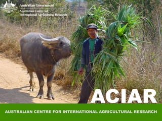 ACIAR
ACIAR

AUSTRALIAN CENTRE FOR INTERNATIONAL AGRICULTURAL RESEARCH

 
